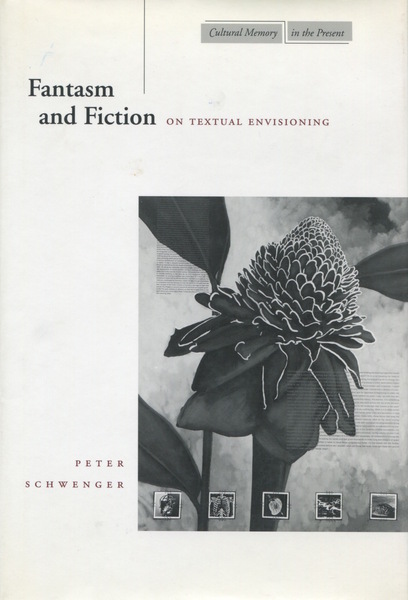 Cover of Fantasm and Fiction by Peter Schwenger