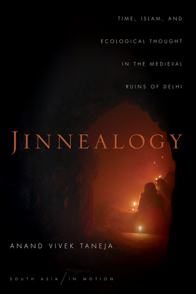 Cover of Jinnealogy by Anand Vivek Taneja 