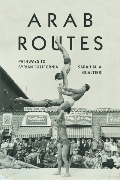 Cover of Arab Routes by Sarah M. A. Gualtieri