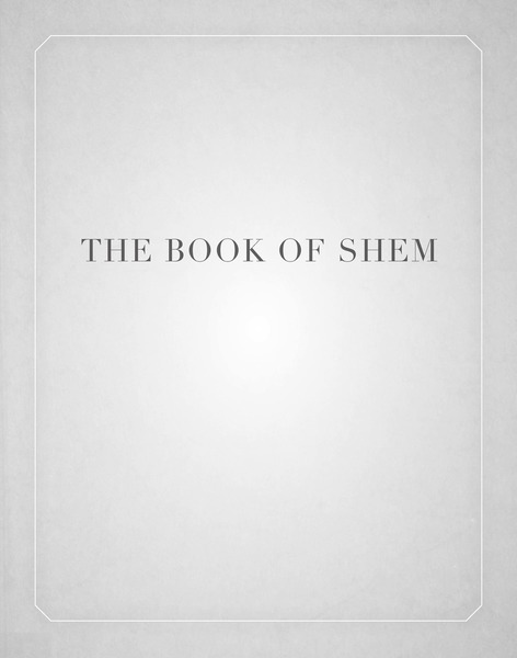 Cover of The Book of Shem by David Kishik