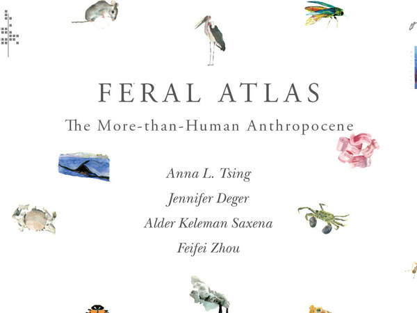 Cover of Feral Atlas by Edited by Anna L. Tsing, Jennifer Deger, Alder Keleman Saxena, and Feifei Zhou