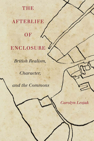 Cover of The Afterlife of Enclosure by Carolyn Lesjak