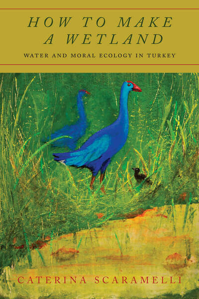Cover of How to Make a Wetland by Caterina Scaramelli