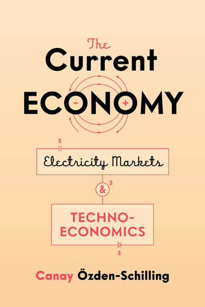 Cover of The Current Economy by Canay Özden-Schilling