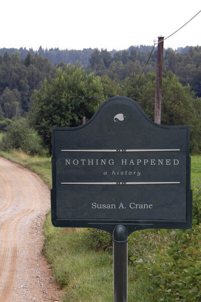 Cover of Nothing Happened by Susan A. Crane