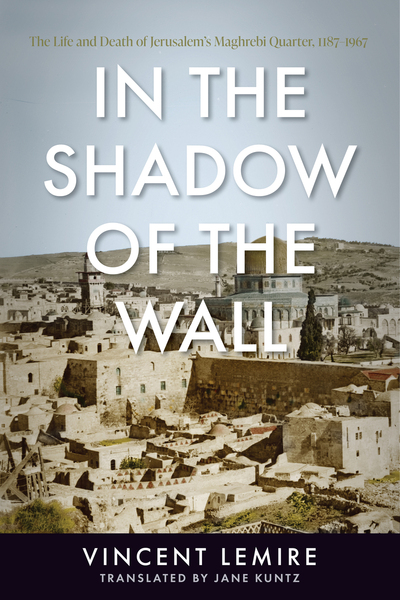 Cover of In the Shadow of the Wall by Vincent Lemire, Translated by Jane Kuntz
