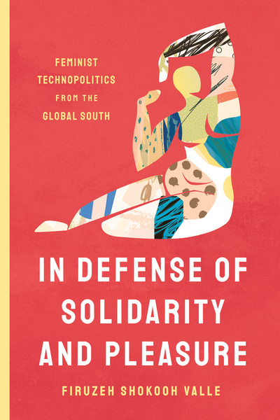 Cover of In Defense of Solidarity and Pleasure by Firuzeh Shokooh Valle
