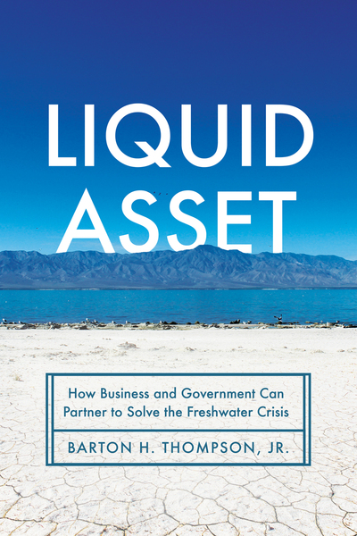 Cover of Liquid Asset by Barton H. Thompson, Jr.