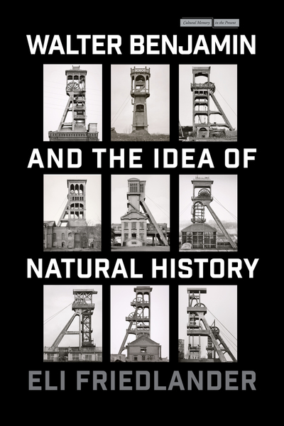 Cover of Walter Benjamin and the Idea of Natural History by Eli Friedlander